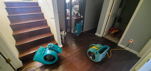 Best Professional water damage repair  in Bar Nunn, WY