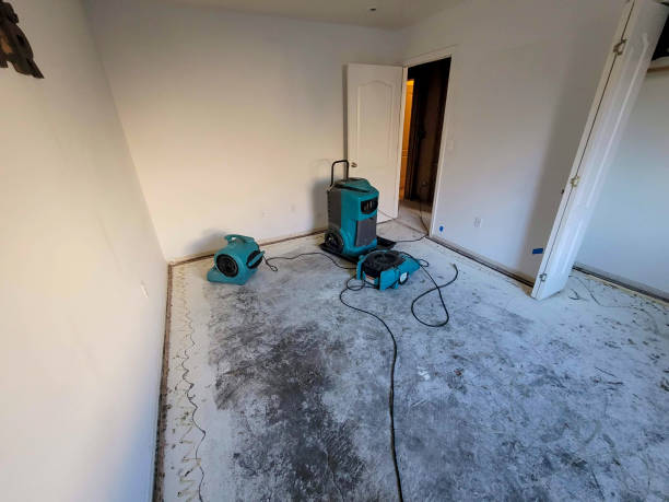 Best Water damage repair service  in Bar Nunn, WY