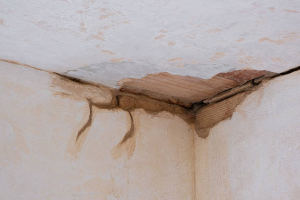 Best Sewage cleanup and water damage restoration  in Bar Nunn, WY