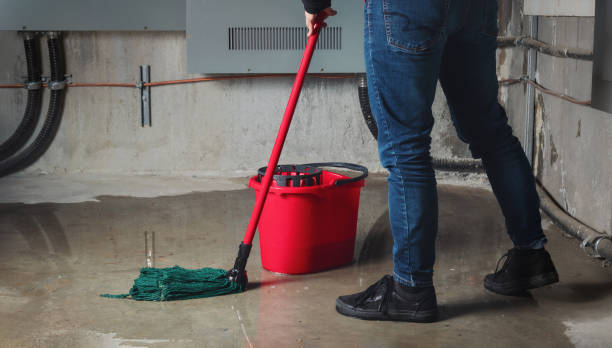 Best 24/7 water damage repair  in Bar Nunn, WY