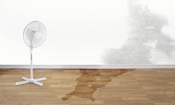 Best Commercial water damage restoration  in Bar Nunn, WY