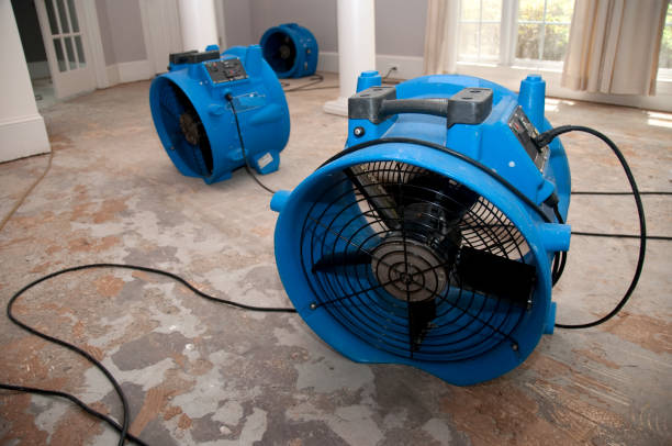 Best Carpet water damage restoration  in Bar Nunn, WY