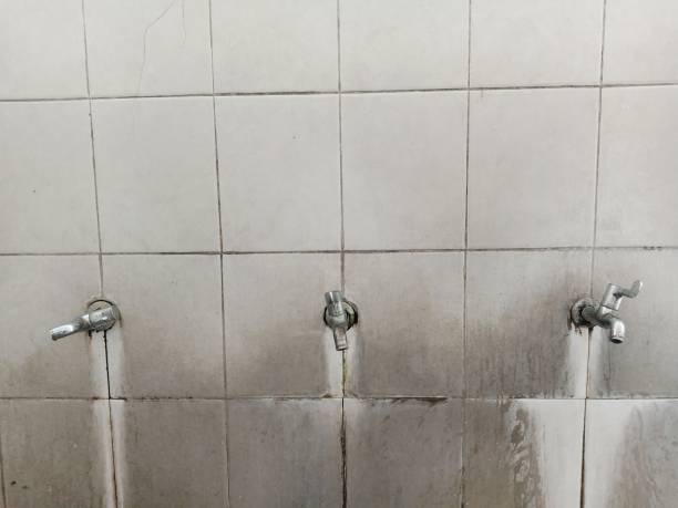 Best 24-hour water damage restoration  in Bar Nunn, WY