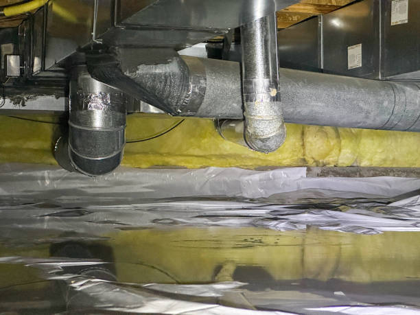 Best Local water damage restoration  in Bar Nunn, WY